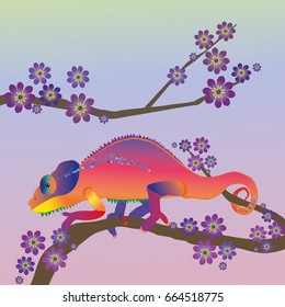 
Rainbow chameleon