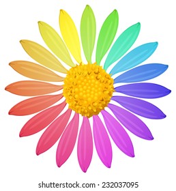 A rainbow colored flower on a white background 