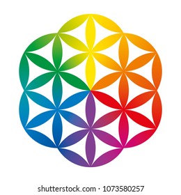 Rainbow colored half of a Flower of Life. Geometrical figure composed of multiple overlapping circles, forming a flower like pattern with symmetrical hexagon structure. Illustration over white. Vector