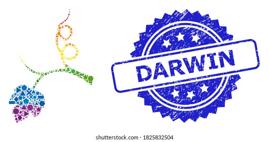 Rainbow colored vector grape sprout collage for LGBT, and Darwin grunge rosette stamp seal. Blue stamp includes Darwin caption inside rosette.