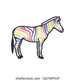 Rainbow colored zebra isolated vector illustration. Uniqueness and rarity concept symbol.