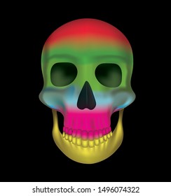 Rainbow colors skull. vector illustration