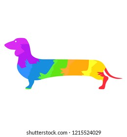 Rainbow dachshund. Vector illustration.