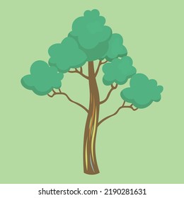 rainbow eucalyptus tree on green background