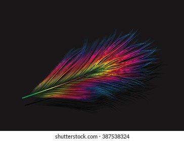 Rainbow feather ob black background. Vector illustration. EPS 10.