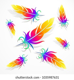 rainbow feathers with shadows on a light gray background
