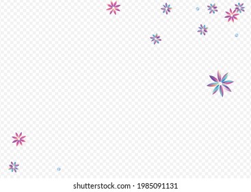 Rainbow Flower Minimal transparenter Hintergrund. Farbpatentkarte. Abstraktes Lichtmuster. Blau und Rosa Hibiscus Sommerdesign.