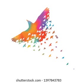 Rainbow flying bird symbol. The logo is multicolored. Abstract mosaic of birds. Vector illustration