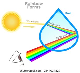 O arco-íris formou um diagrama. Reflexão, refração, dispersão da anatomia da luz. Arco colorido feito por gotículas de chuva impressionantes. Efeito do raio acertando uma gota de chuva. Vermelho a violeta. Ilustração vetorial