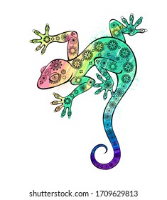 Rainbow gecko lizard painting watercolor on white background.