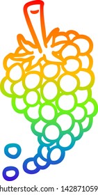 dibujo de líneas de gradiente de arco iris de un grupo de uvas
