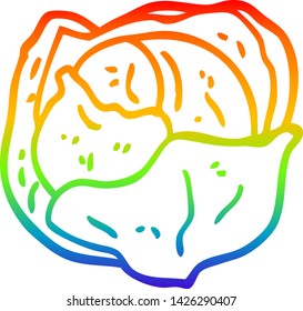 rainbow gradient line drawing of a cartoon cabbage