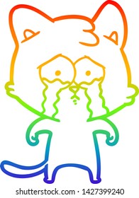 rainbow gradient line drawing of a cartoon crying cat