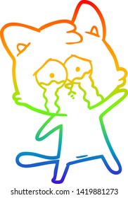 rainbow gradient line drawing of a crying cartoon cat