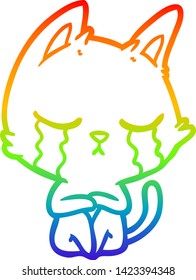 rainbow gradient line drawing of a crying cartoon cat sitting