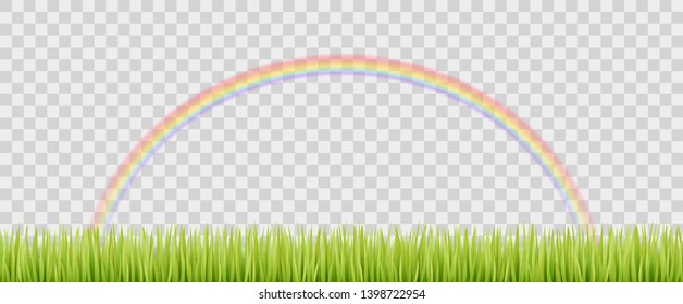 Rainbow and grass on transparent background