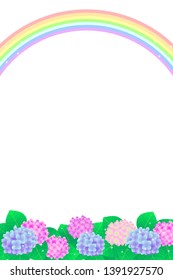 Rainbow and hydrangea after the rain
