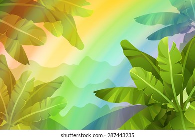 Rainbow in the jungle