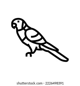 rainbow lorikeet bird exotic line icon vector. rainbow lorikeet bird exotic sign. isolated contour symbol black illustration