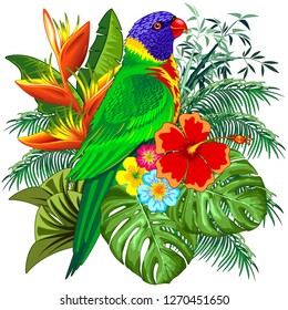 Rainbow Lorikeet Exotic Colorful Parrot Bird Vector Illustration