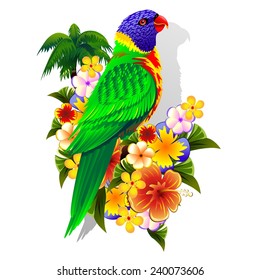 Rainbow Lorikeet on Tropical Flowers