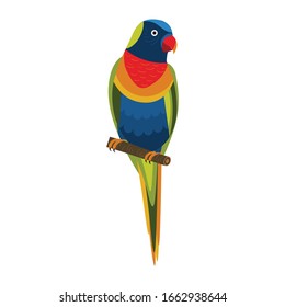 Rainbow Lorikeet parrot sitting on brunch. Colorful exotic bird from Australia in cartoon style illustration on white background.