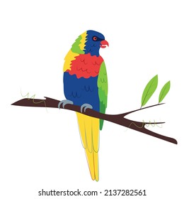 Rainbow Lorikeet is sitting on a branch. An exotic parrot bird. Vector illustration in a hand-drawn style isolated on a white background