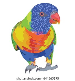 Rainbow Lorrikeet Vector Illustration on white background