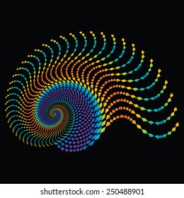 Rainbow Nautilus
