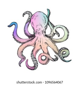 Rainbow Octopus Vector Illustration. Octopus pink marine shirt print. Kraken Tattoo or print for t-shirt, poster or logo. Gigantic octopus vector ink sketch. 