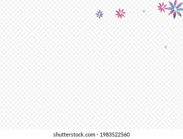 Rainbow Petal Fun Transparent Background. Color Hibiscus Brochure. Happy Holographic Banner. Light Flower Art Pattern.