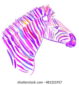 Rainbow pink Zebra portrait, Head sketch isolated on white background. Vector