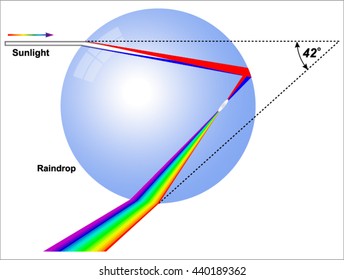 Rainbow -  Raindrop Refracts And Reflects Light.