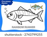 Rainbow Runner Vector Design Illustration With Sample  On The Top Right 