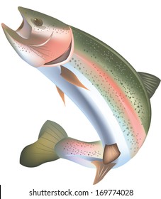 Rainbow Trout Illustration Images Stock Photos Vectors Shutterstock