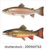 Rainbow trout and brook trout isolated on white. Vector eps 10.