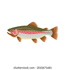 rainbow trout fish, vector illustration, flat style ,side view