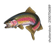 rainbow trout fishing illustration logo vector image t shirt