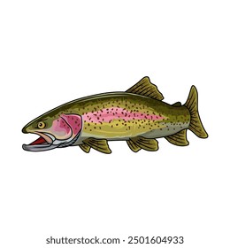 rainbow trout fishing illustration logo vector image t shirt