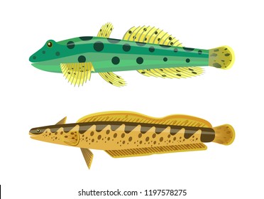 Rainbow trout with green dotted fish. Species of limbless animals. Freshwater creatures dorsal fins, gills and eyes isolated on vector illustration