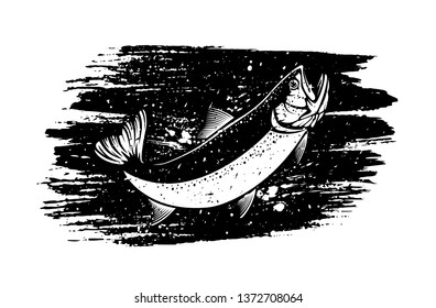 Rainbow trout jumping out water.Salmon isolated on white background. Concept art for horoscope, tattoo or colouring book. Water splash. Grunge background. Paint stains.