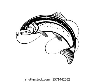 Rainbow trout jumping out water.Salmon isolated on white background. Concept art for horoscope, tattoo or colouring book.