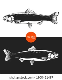 Rainbow trout jumping out water.Salmon isolated on white background. Concept art for horoscope, tattoo or colouring book.