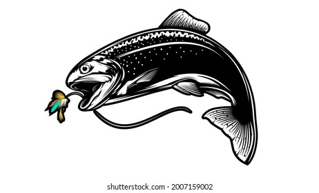 Rainbow trout jumping out water.Salmon isolated on white background. Concept art for horoscope, tattoo or colouring book.