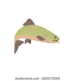 Rainbow trout set. Isolated rainbow trout on white background