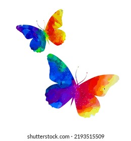 Rainbow watercolor butterfly. Multicolour logo, icon and t-shirt print. Vector illustration