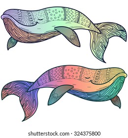Rainbow whales ornate. Vector illustration