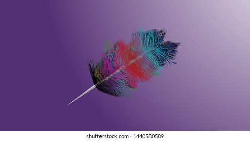 
rainbow-colored feathers adorned with charming background