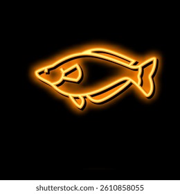 rainbowfish aquarium fish neon light sign vector. rainbowfish aquarium fish illustration