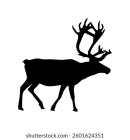 The Raindeer Cartoon Illustration Vector